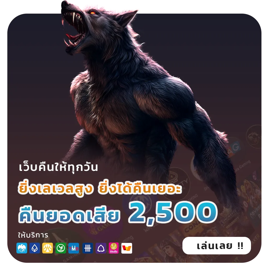 dg 888 เว็บใหญ่
